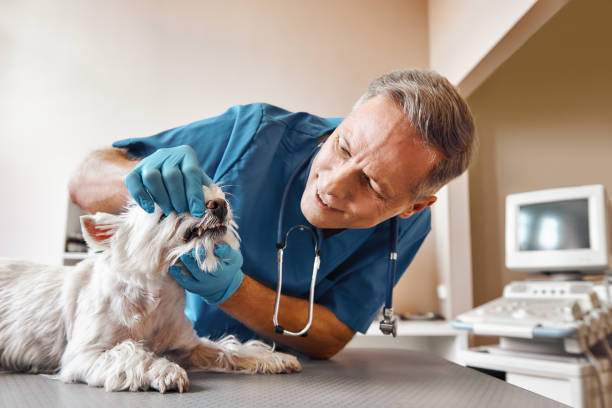 Best Emergency Tooth Extraction in Celebration, FL